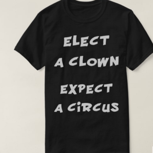 Elect A Clown Expect A Circus